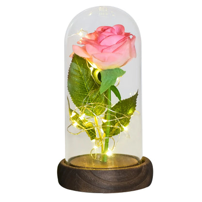 Gifts for Her Beauty and the Beast Eternal Rose in Glass Dome Artificial Forever Flower LED Light Mothers Day Gifts for Women