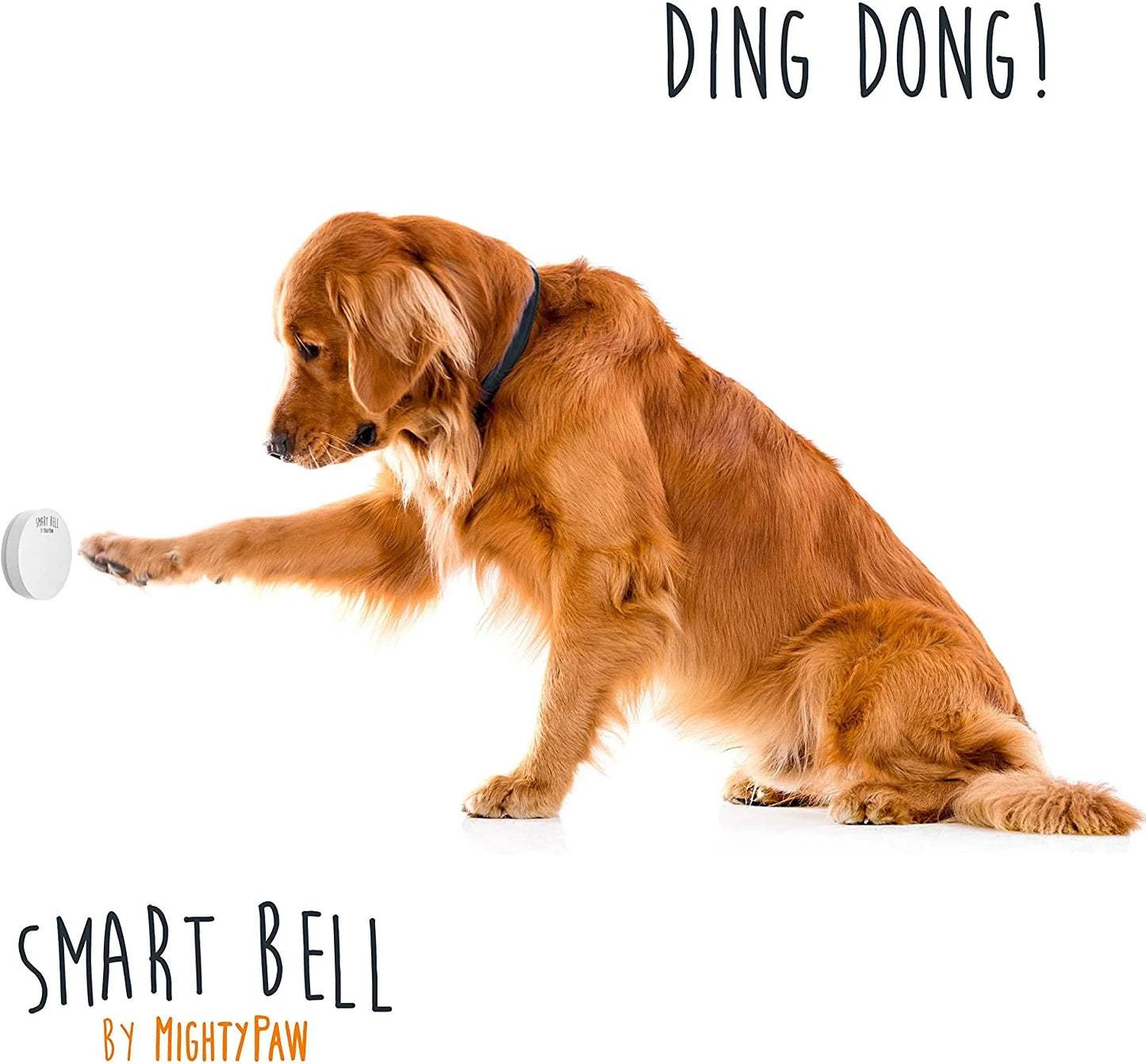 Smart Bell 2.0, Dog Doorbell. Puppy Potty Training Press Button Door Bell