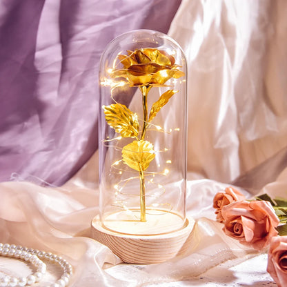 Gifts for Women Beauty and the Beast Preserved Roses in Glass Galaxy Rose LED Light Artificial Flower Birthday Gift for Girls