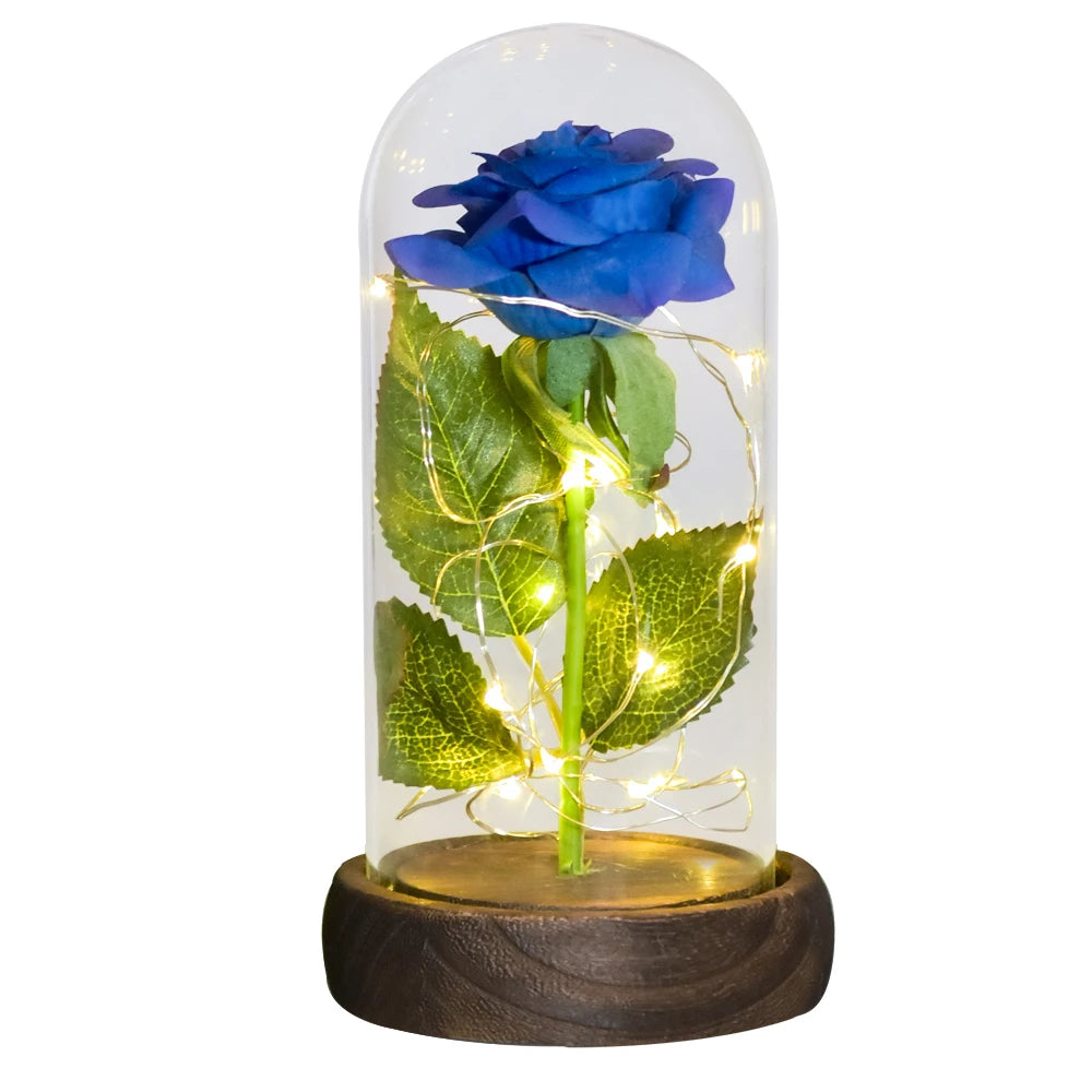 Gifts for Women Beauty and the Beast Preserved Roses in Glass Galaxy Rose LED Light Artificial Flower Birthday Gift for Girls