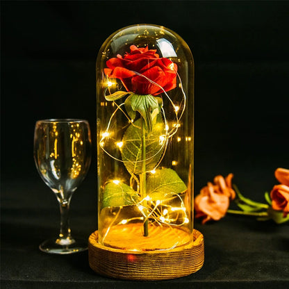 Gifts for Her Beauty and the Beast Eternal Rose in Glass Dome Artificial Forever Flower LED Light Mothers Day Gifts for Women