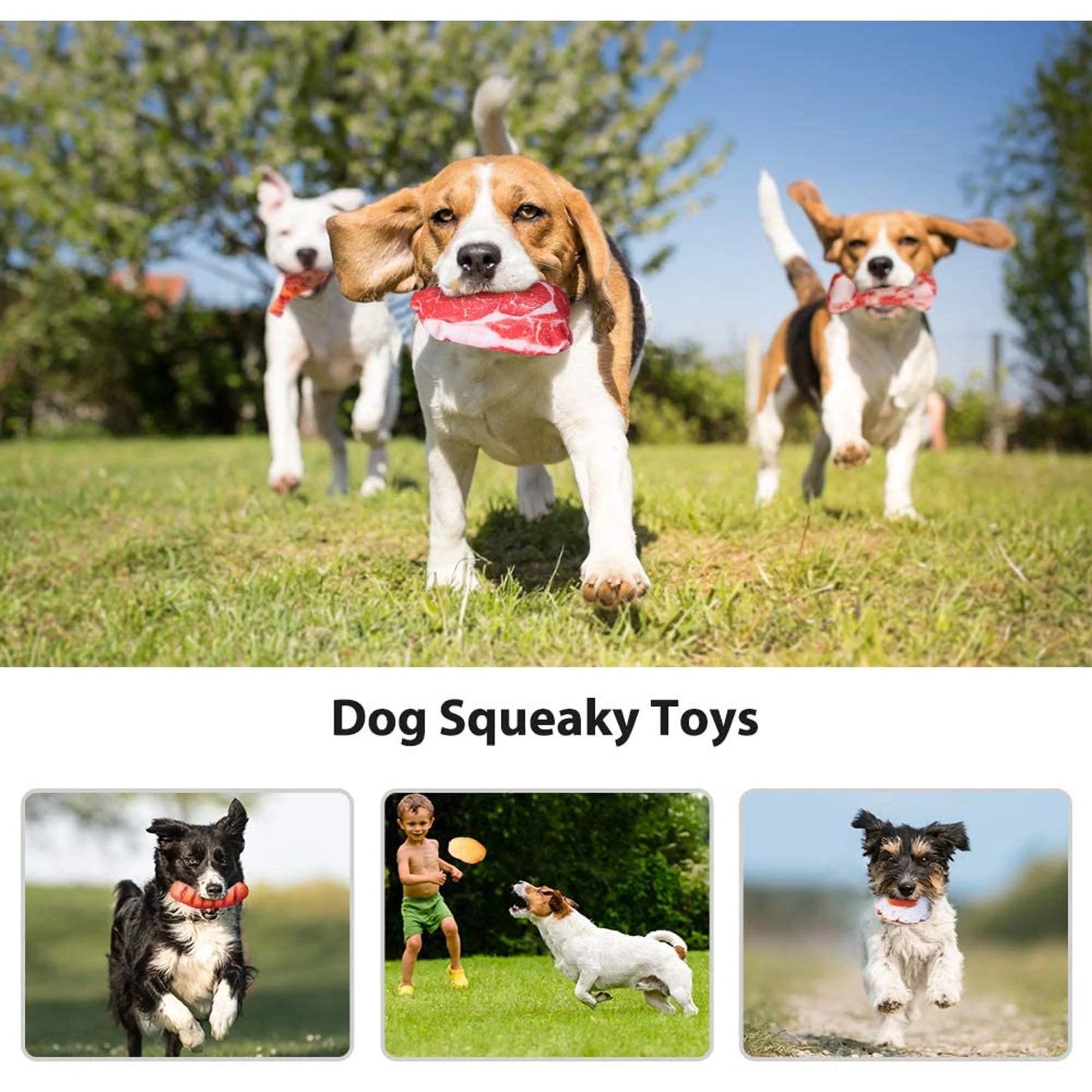 12 Pack Dog Squeaky Toys