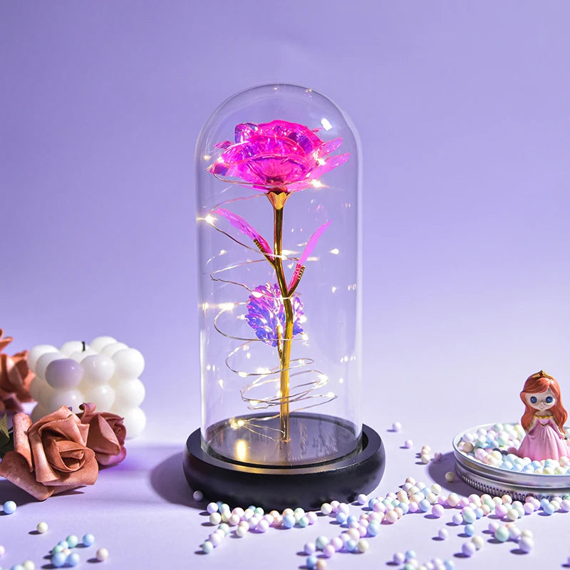 Gifts for Women Beauty and the Beast Preserved Roses in Glass Galaxy Rose LED Light Artificial Flower Birthday Gift for Girls